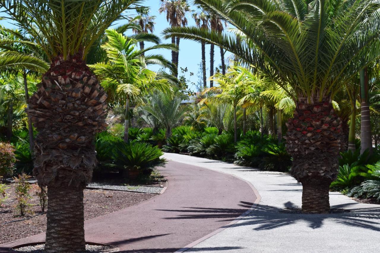 Primavera Tenerife Costa del Silencio Exterior foto